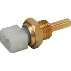 Sensor - 6005018661