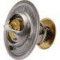 Thermostat - 6005031321 Thermostat - 6005031321