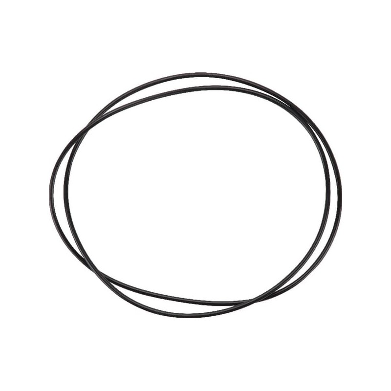 Brake O Ring - 6005019079