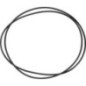 Brake O Ring - 6005019079
