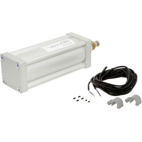 Pneumatic cyl. 6 inch std.magnet - 6008200Z