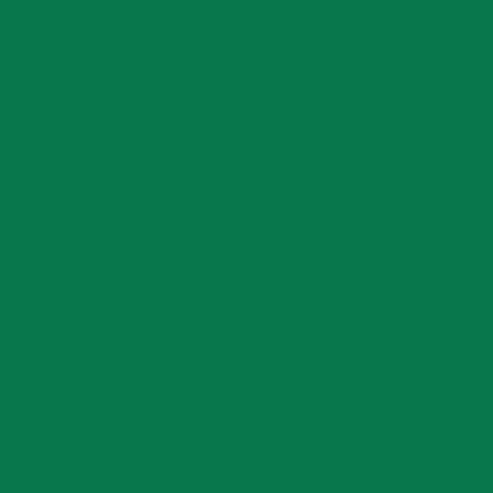 RAL 6029 Minzgrün 1 L - 602908KR