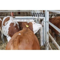 Spring for cattle brush - 6033KR