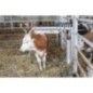 Spring for cattle brush - 6033KR Spring for cattle brush - 6033KR
