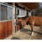 Spring for cattle brush - 6033KR Spring for cattle brush - 6033KR