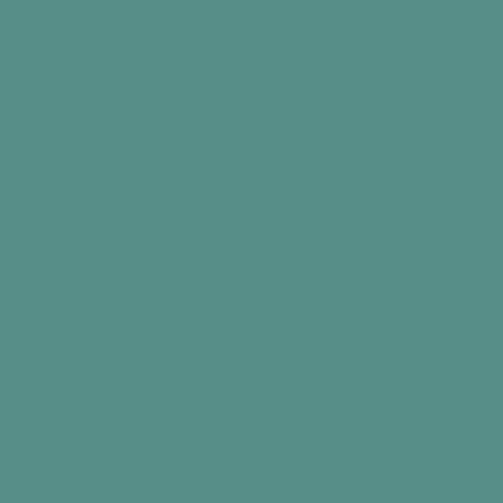 RAL 6033 Minttürkis 1 L - 603308KR