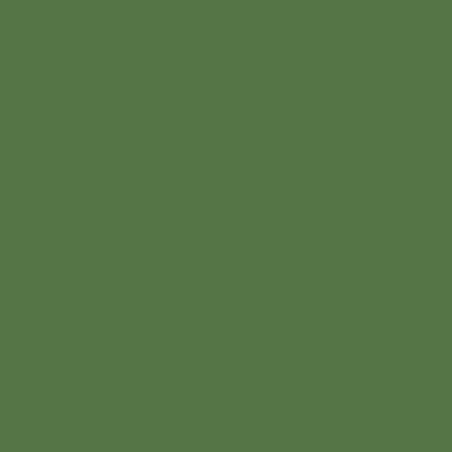 Paint RAL 6010 grass green 1L Kramp - 601008KR