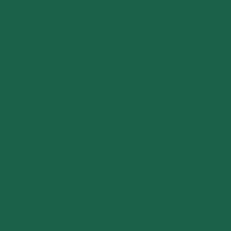 Bergmann green from 1996 1L - 614508KR