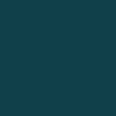 Hanomag green 1L - 619508KR