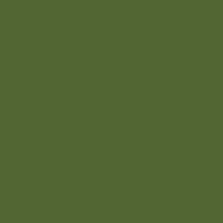 Amazone green 1L - 606008KR