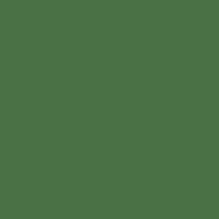 Bruns grün 1L - 609008KR