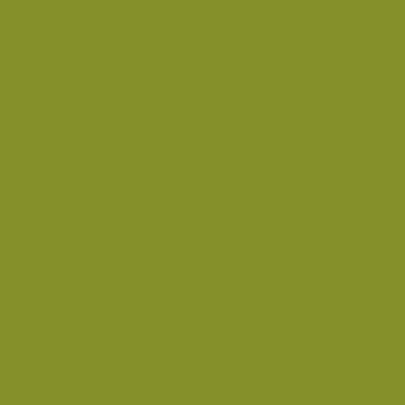 Suitable for Claas, Green satin 5L - 610512KR