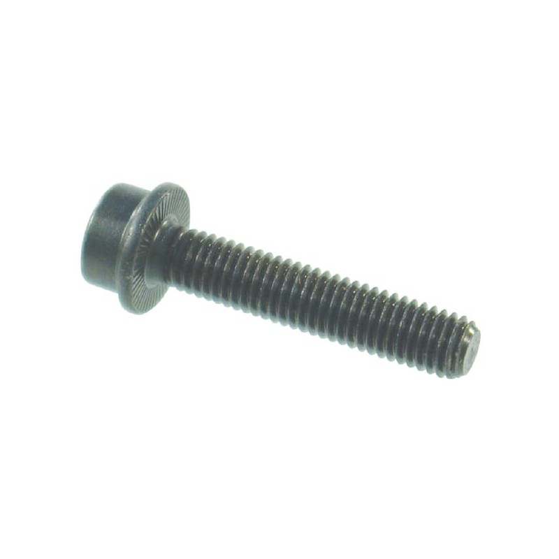 Rippschraube M6x25 - 625IR