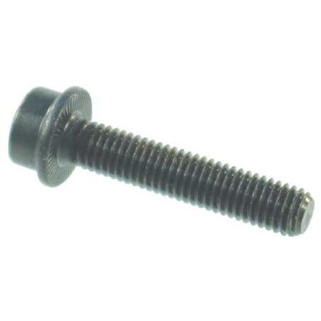 Rippschraube M6x25 - 625IR