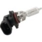Bulb - 6255951M1 Bulb - 6255951M1