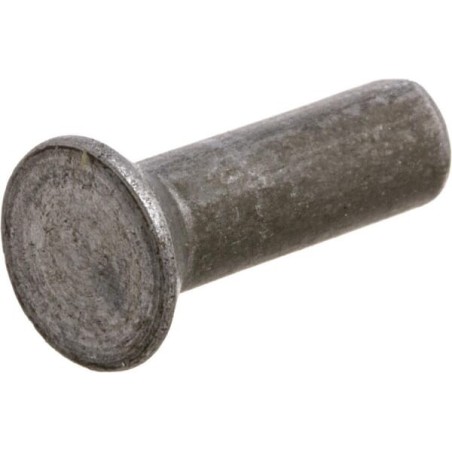 Rivets 0.5 kg pack 6x20 - 620V