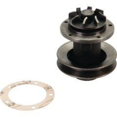 Water pumps – produkty dostępne w rolniczeczesci.pl
