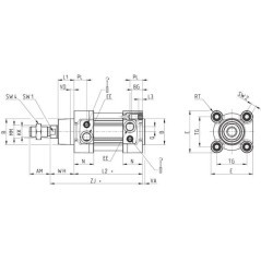 Cylinder 50-500 seria 63 - 63MP2C050A0500R