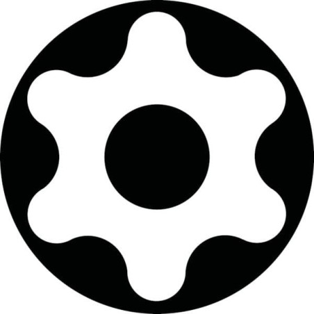 M10 bits for Torx 50, w. hole - 66151505030
