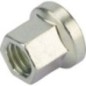 Mutter - 6685166