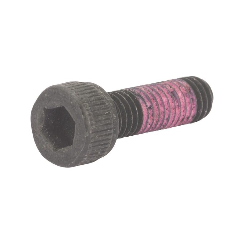 Seal lock bolt M5x16 - 6699415