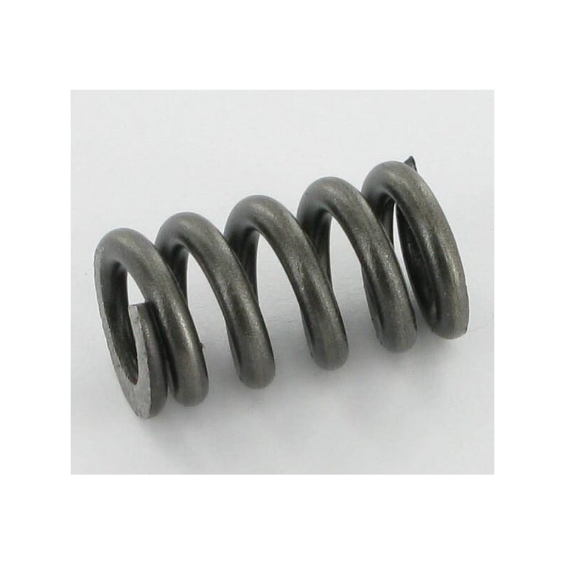 Outer spring - 660104
