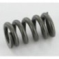 Outer spring - 660104