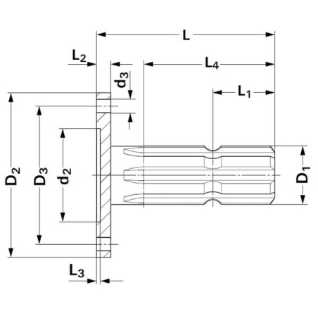 Shaft with flange - 675011KR