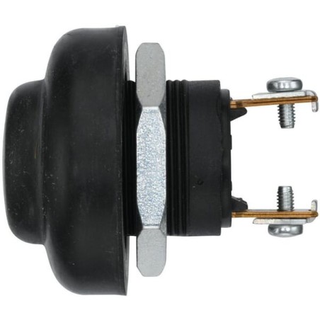 Ignition/Starter switch, push control, 2-pin, normally open contact, diameter 24mm - 6JF001571071