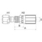 Insert DN10-9/16SAE 24 - 6G6MFA