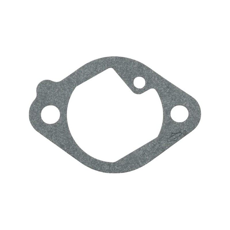 Gasket Intake - 699800 Gasket Intake - 699800