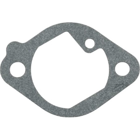 Briggs & Stratton – produkty dostępne w rolniczeczesci.pl