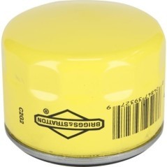 696854 Briggs & Stratton, Filter 