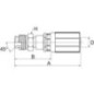 Insert DN10-5/8 SAE 45 - 6G6MIX