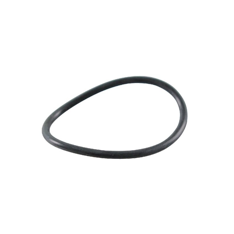O-Ring - 697123