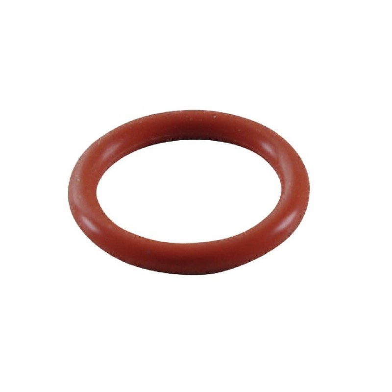 O-Ring - 691876