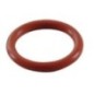 O-Ring - 691876
