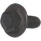 Screw - 691125 Screw - 691125