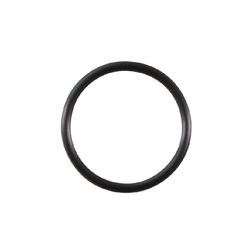 O-Ring - 691870