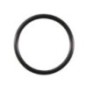 O-Ring - 691870