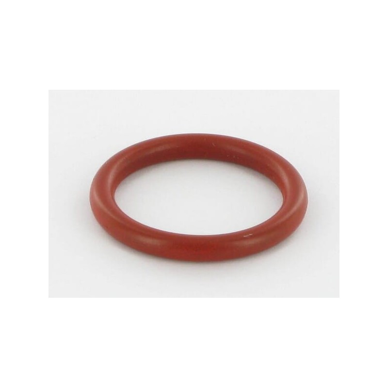 O-Ring - 691032