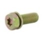 Screw - 691902