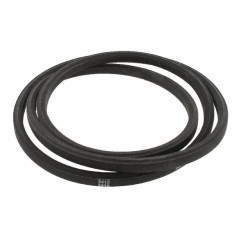 7022252YP Simplicity - Snapper, Brand 