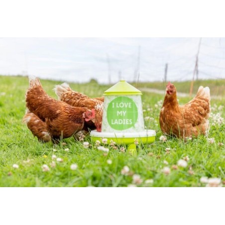 Feeder 4.8l/4kg green - 70169KER