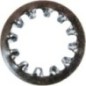 Spring washer - 7090509YP