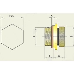 7090020212 Femco, Oil drain screws 