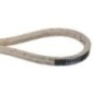 V-belt - 7100425SM V-belt - 7100425SM