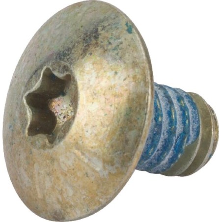 Schraube 1/4-20x10mm - 71004531