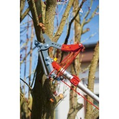 71ACA005650 Wolf-Garten, Multi-star 