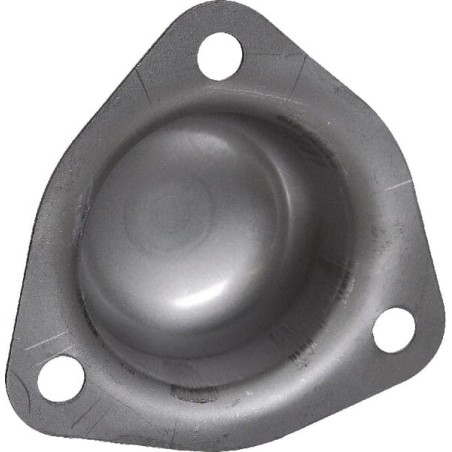 Hub Cap CNH - 713238R1